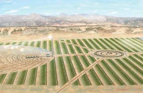 Desert Farms: Reclaiming the Deserts and Farming the Unfarmable Desert Farming, Irish Witch, Kandahar Afghanistan, Concentrated Solar Power, Ireland Country, Green Jobs, Country Sports, Growing Cucumbers, The Sahara Desert