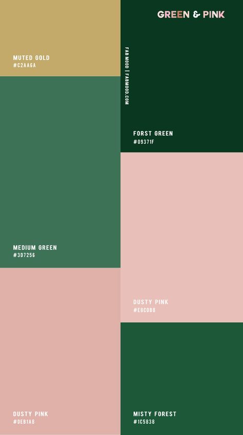 Pink Green Color Pallete, Color Combinations Canva, Green And Pink Painted Walls, Color Palette With Pink And Green, Colour Combination Palette, Cottage Core Color Palette Hex Codes, Green Wall Combination, Color Palette Classic, Pink And Forest Green Bedroom