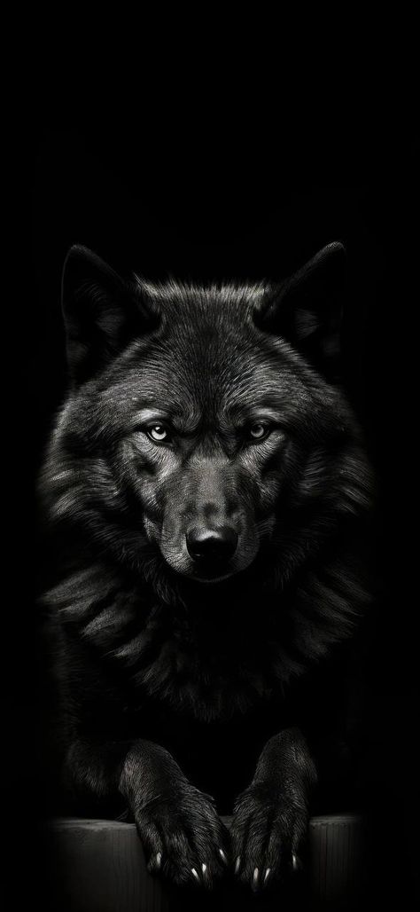 Iphone Wallpaper Wolf, Big Cat Tattoo, Iphone Wallpaper Hd, Hd Dark Wallpapers, Wolf Photography, Wolf Artwork, Alpha Wolf, Wolf Spirit Animal, Werewolf Art