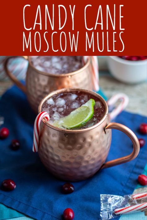 Candy Cane Moscow Mules | A Nerd Cooks Cocktail Pairing, Ginger Beer Drinks, Moscow Mule Drink, Mule Drink, Peppermint Vodka, Moscow Mules, Moscow Mule Recipe, Mule Cocktail, Mule Recipe