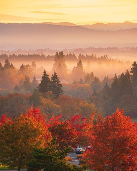 Pnw Autumn, Oregon Fall, Oregon Fall Aesthetic, Pnw Fall, Portland Oregon Autumn, Pacific Northwest Fall, Moody Pacific Northwest, Pnw Aesthetic, Autumn Landscape