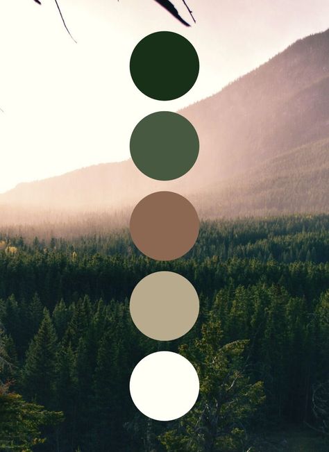 Forest Green Color Palette, Forest Green Wedding, Dark Green Wedding, Wedding Color Pallet, Forest Theme Wedding, Green Color Palette, Green Themed Wedding, Green Wedding Colors, Winter Wedding Colors