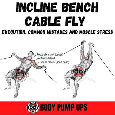 Incline  Bench Cable Fly


Incline Cable fly is one of the most suitable exercises for isolating the upper chest muscles. Performing this exercise with cables instead of Dumbbells allows for constant tension, which helps build Upper Chest fibers. This constant tension cannot be achieved with Dumbbells.

Follow me @bodypumpup 

#chestexercises #chest #chestpump #chestworkouts #chestworkouts #chestworkout #chestpumps #inclinebenchcableflys #benchcablefly #cablefly #inclinecableflys #workoutguidema Cable Flys, Biceps Brachii, Incline Bench, Body Pump, Planet Fitness, Chest Muscles, Chest Workouts, Planet Fitness Workout, Chest Workout