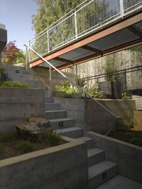 Australian Gardens, Landscape Stairs, Concrete Staircase, Small Bars, Design Workshop, Deck Railing, Modern Landscape Design, Outdoor Stairs, Concrete Steps