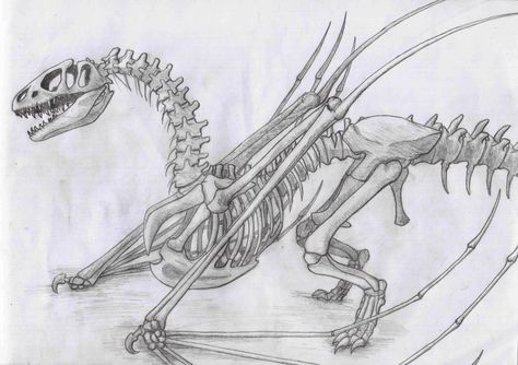 Dragon Drawing Tattoo, Dragon Skeleton Tattoo, Undead Dragon, Dragon Dnd, Art Pants, Dragon Skeleton, Skull Sketch, Dragon 3d, Skeleton Drawings