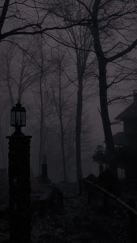 Dark Victorian Aesthetic, Victorian Gothic Aesthetic, Goth Aesthetic Wallpaper, Gothic Background, Dark Sunset, Dark Academia Wallpaper, Dark Forest Aesthetic, Dark Landscape, Dark Nature