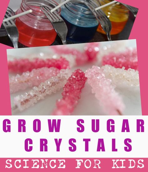 How to grow sugar crystals Sugar Crystal Science Project, Dinosaur Baking, Kid Science Experiments, Physics For Kids, Candy Science Experiments, Make Rock Candy, Edible Science, Crystals For Kids, Science Christmas