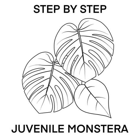 Kaily Wilson on Instagram: "STEP BY STEP JUVENILE MONSTERA The Monstera Deliciosa (delicious monster), is fruit bearing in its natural habitat. The fruit, once fully ripe, is edible, with a flavour that tastes like a combination of banana and pineapple. However is slightly toxic/highly irritating before it is ready. The previous monstera tutorial was a fully mature monstera leaf. Today we are learning the juvenile, more ‘baby-faced’ leaves. Draw separately, or layer for the look of a full p Easy Monstera Leaf Drawing, Drawing Monstera Leaf, Monstera Illustration Drawings, Monstera Drawn Simple, Monstera Stencil Leaves, Palm Tree Art, Henna Designs Easy, Monstera Deliciosa, Floral Drawing