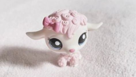 Lps Popular, Lps Toys, Lps Littlest Pet Shop, Magic Circle, Cute Little Things, Littlest Pet Shop, Cute Images, Toy Boxes, Lps