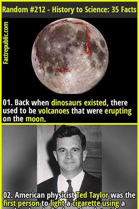 01. Back when dinosaurs existed, there used to be volcanoes that were erupting on the moon. #dinosaur #volcano #science #knowledge #education #wtf #shocking #history #moon Fun Facts About Science, Some Facts About Science, Random Science Facts, Weird Science Facts, Crazy History Facts, Science Trivia Interesting Facts, Dinosaur Volcano, Weird History Facts, Intresting Facts About Science