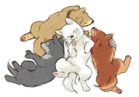 Pups Sif Dark Souls, Anime Puppy, Wolf's Rain, Wolf’s Rain, Wolf Puppy, Baby Wolves, Wolf Sketch, Puppy Drawing, Baby Wolf