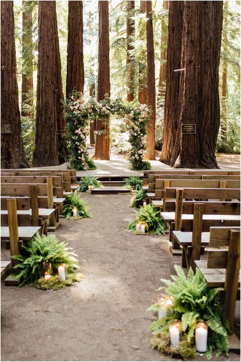 Outdoor Wedding In The Woods, Twilight Wedding Theme, Outdoor Woodsy Wedding, Woodland Ceremony, Bellas Wedding, Forest Wedding Ceremony, Twilight Wedding, Redwood Wedding, Forest Theme Wedding