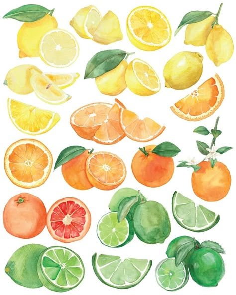 Watercolour Food, Lemon Watercolor, Fruits Drawing, Object Design, Food Illustration Art, Watercolor Food, Animals And Birds, Watercolor Fruit, Watercolour Illustration