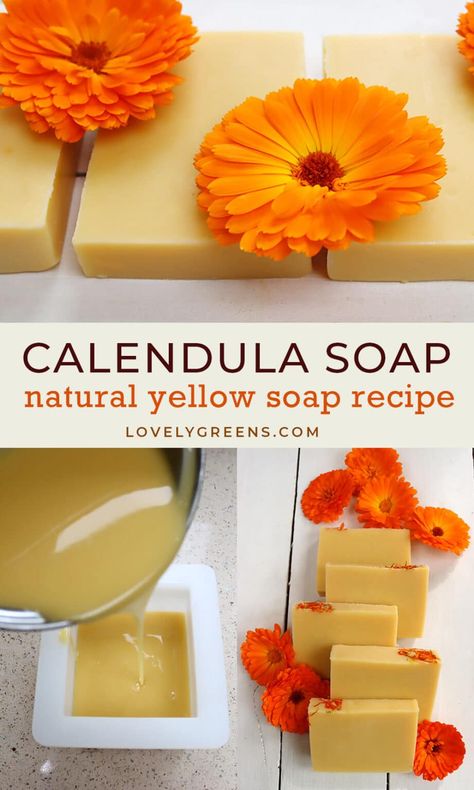 Make this Calendula-Infused Oil Soap Recipe for Natural Yellow Soap Herbal Bath Recipes, Natural Soap Colorants, Homemade Balm, Calendula Soap, Beeswax Soap, Lovely Greens, Witchy Kitchen, Flowers For Decoration, Handmade Soap Recipes