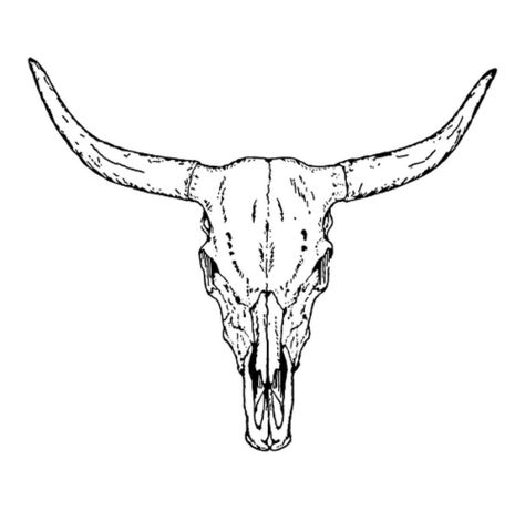 Skull Tattoo Outline, Longhorn Skull Drawing, Bull Skull Tattoo, Longhorn Tattoo, Tattoo Crane, Cow Skull Tattoos, Bull Skull Tattoos, Cowgirl Tattoos, Cowboy Tattoos