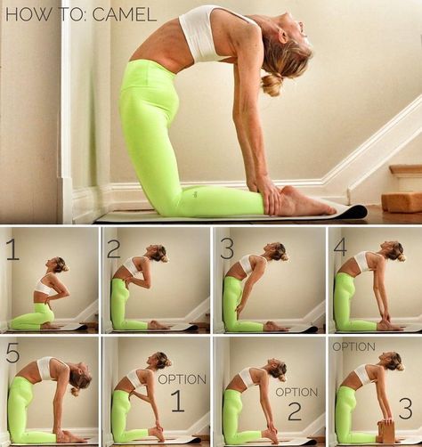 Camel Pose, Yoga Beginners, Beginner Yoga, Partner Yoga, Yoga Iyengar, Yoga Posen, Yoga Moves, Yoga Exercises, Easy Yoga Workouts