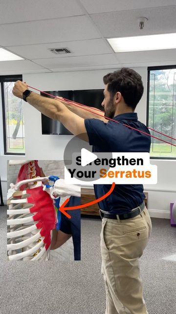 Dr. Joe Damiani - TMJ, Head & Neck Specialist on Instagram: "The serratus anterior muscle is responsible for proper shoulder mechanics. It helps elevate and upwardly rotate to avoid impingement of the shoulder, overuse of neck muscles and gain full range of motion. It can even elevate the rib cage when needed. A lot of us never isolate this muscle or if we do use the word compensating in different ways as well. This is a simple exercise store, activating the muscle, and is extremely effective in those with headaches, neck, pain and jaw pain. #serratus #shoulderpain #shouldermobility #neckpainrelief #tmjdisorder #tensionheadache #headacherelief" Serratus Anterior Exercises, Serratus Anterior Muscle, Serratus Anterior, Rehab Exercises, Neck Muscles, Jaw Pain, Simple Exercise, Neck Pain Relief, Tension Headache