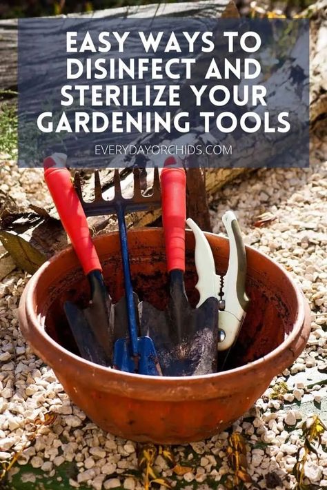 Gardening Shears, Clean Garden Tools, Tools Images, Best Garden Tools, Pruning Tools, Landscaping Tools, Planting Tools, Garden Shears, Garden Equipment