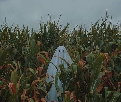 - - - - -  #halloween #spooky #aesthetic #autumn #spookyaesthetic  #grunge #vintage #vintagehalloween  #bhorror #horror #fall #trickortreat… A Ghost, Corn, Ghost, Halloween, Blue