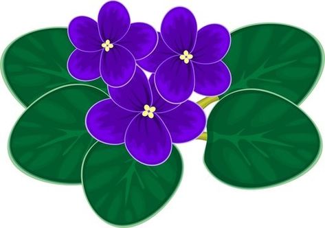 White Flower Background, Felt Flowers Diy, Cartoon Tiger, Soyut Sanat Tabloları, African Violet, Svg For Cricut, African Violets, Free Vector Graphics, Flower Illustration