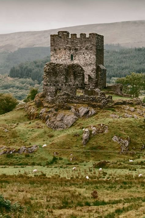 Dolwydean Castle in Wales beautiful old Castle is abandoned and in Ruins Old Scottish Castle, Wales Castles, Art Mindmap, Europe Castles, Ruined Castle, Scenes To Paint, Small Castle, Old Ruins, Dark Inspiration