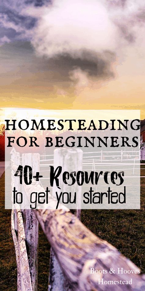 Homesteading For Beginners, Homestead Layout, Easy Herbs To Grow, Off Grid Homestead, Modern Homesteading, Homesteading Diy, Homestead Farm, Homestead Gardens, Homesteading Skills