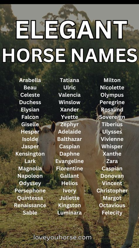 In the world of horse ownership, choosing a name for your new equine friend is an important task.

It’s not just about picking a random word or combination of letters – a horse’s name often reflects their personality, appearance, or even their lineage.

If you’re searching for a unique and elegant name for your horse, look no further! Female Horse Names, Horse Name Ideas, Best Horse Names, Horse Hacks, Sims Names, Horse Ownership, Horse Knowledge, Elegant Horse, Elegant Names