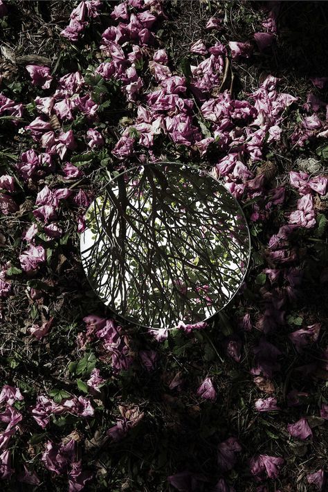 Reflections Sebastian Magnani, Spherical Mirror, Mirror Photography, Reflection Art, Reflection Photography, Surreal Photos, Mirror Reflection, Everything Pink, Photography Projects