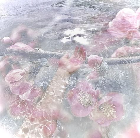 Pink Mermaid Aesthetic, No Ordinary Girl, Pink Jellyfish, Soft Pink Theme, Pink Ocean, Ethereal Aesthetic, Mermaid Core, Mermaid Aesthetic, Pink Mermaid