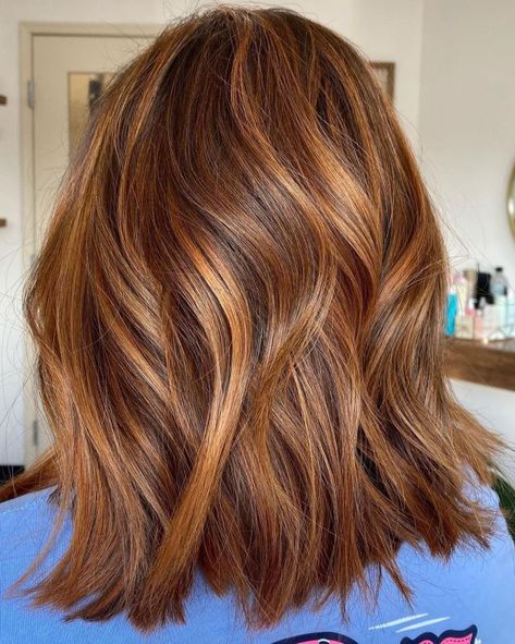 Auburn Brown Hair with Strawberry Highlights Warm Hair Highlights, Summer Auburn Hair Color, Warm Toned Brown Hair, Warm Auburn Hair Color, Light Brown Auburn Hair, Brown Hair With Auburn Highlights, Brownish Red Hair With Blonde Highlights, Ginger Highlights, Deep Auburn Hair