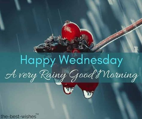 Going to be a wet Wednesday! Rainy Wednesday Mornings, Rainy Good Morning Quotes, Rainy Wednesday Quotes, Happy Rainy Day Good Morning, Happy Rainy Wednesday, Rainy Morning Quotes, Morning Rainy Day, Wednesday Pics, Good Morning Winter Images