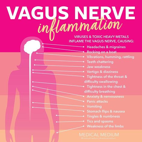 Medical Medium® on Instagram: “VAGUS NERVE INFLAMMATION SYMPTOMS There are dozens of chronic neurological symptoms and conditions that are caused by viruses and toxic…” How To Stop Dizziness, Vagus Nerve Healing, Vegas Nerve, Inflammation Symptoms, Nervus Vagus, Polyvagal Theory, The Vagus Nerve, Nerve Health, Brain Connections