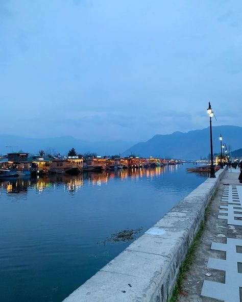 Dal lake Srinagar Kashmir Srinagar Dal Lake, Dal Lake Kashmir Photography, Kashmir Photography, Dal Lake Kashmir, Srinagar Kashmir, Dal Lake, Color Splash Photo, Mountain Aesthetic, Men Faces