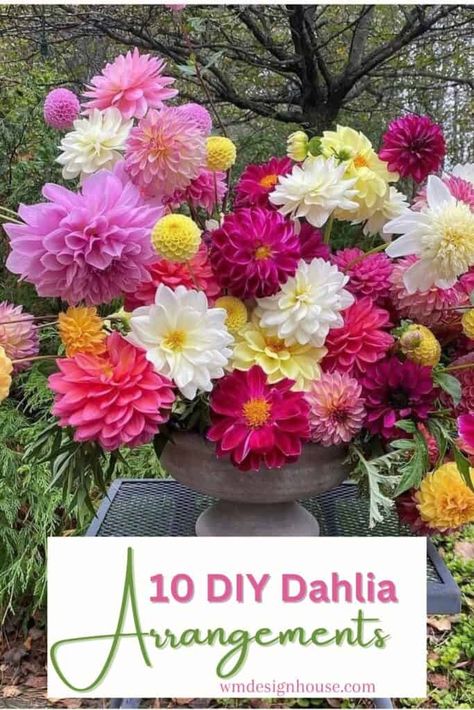 10 lovely ways to arrange your dahlias from simple and sleek to a show stopping arrangement Brownsville Oregon, Oregon Autumn, Breathtaking Flowers, Dahlia Flower Arrangements, Mountain Farm, Flower Farmer, Willamette Valley, Bouquet Ideas, Shimmer And Shine