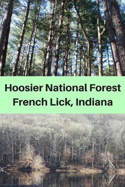 indiana Hoosier National Forest Indiana, Hoosier National Forest, French Lick Indiana Things To Do, Indiana Hiking, Travel Indiana, French Lick Indiana, French Lick, South Dakota Travel, Road Trip Camping