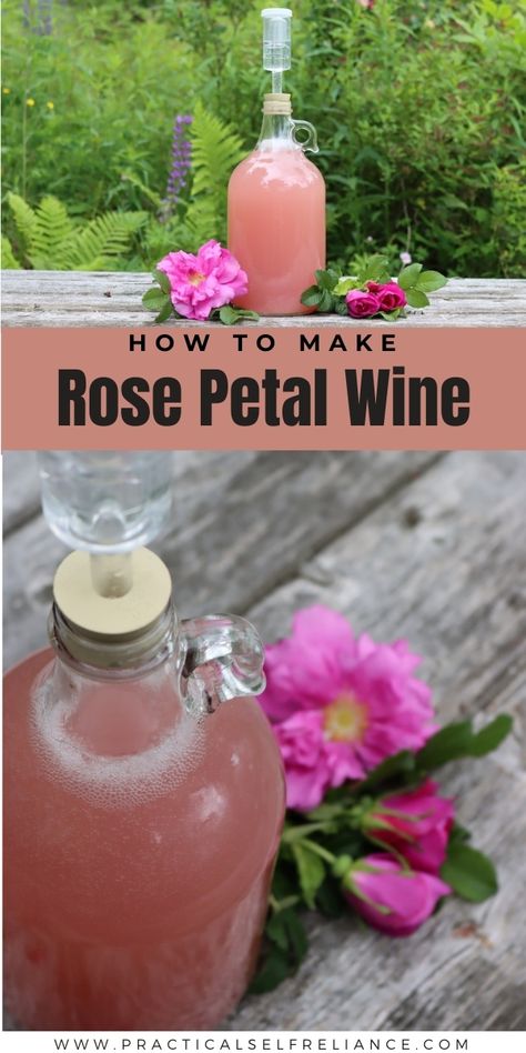 1 Gallon Mead Recipe, Herbal Mead Recipe, Rose Wine Recipes, Fruit Wine Recipes, Pokemon Food, Wine Making Recipes, Homemade Wine Recipes, Mead Wine, Wine At Home