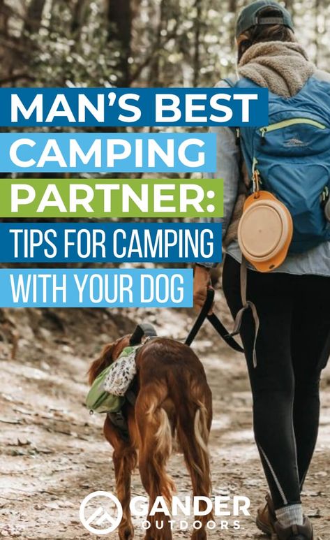 As a dog owner, it’s hard to say no to those big, puppy-dog eyes, pleading for you to take them with you. Especially when you know they want to go with you so badly! The good news is that you can bring your pooch camping with you. All you need is some preparation ahead of time and the right gear. Soon, your best bud at home will be your best bud at the campsite too. Read this article for some tips and tricks for camping with your dog. #camping #campingtips #campinghacks #campingwithpets Camping With A Dog, Camping With Dogs, Hyper Dog, Dog Wellness, Dog Camping, Puppy Dog Eyes, Dog Hacks, Dog Eyes, Dog Travel