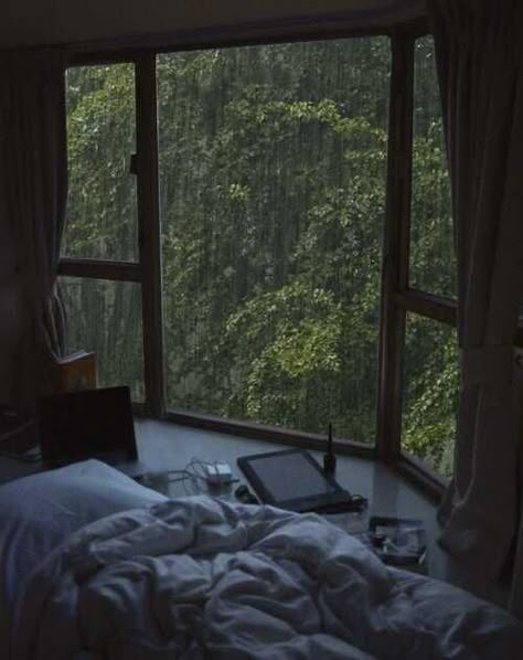 Cozy Post - Imgur Dark Paradise, Aesthetic Rooms, Academia Aesthetic, Cozy Room, Room Inspiration Bedroom, Bedroom Aesthetic, Aesthetic Bedroom, Dream Rooms, Nature Aesthetic