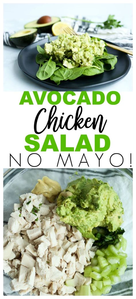 Chicken Salad Recipe No Mayo, Chicken Salad No Mayo, Avocado Chicken Salad Recipe, Health Lunch, Mayo Recipe, Healthy Avocado, Avocado Chicken, Healthy Chicken Salad, Recipes For