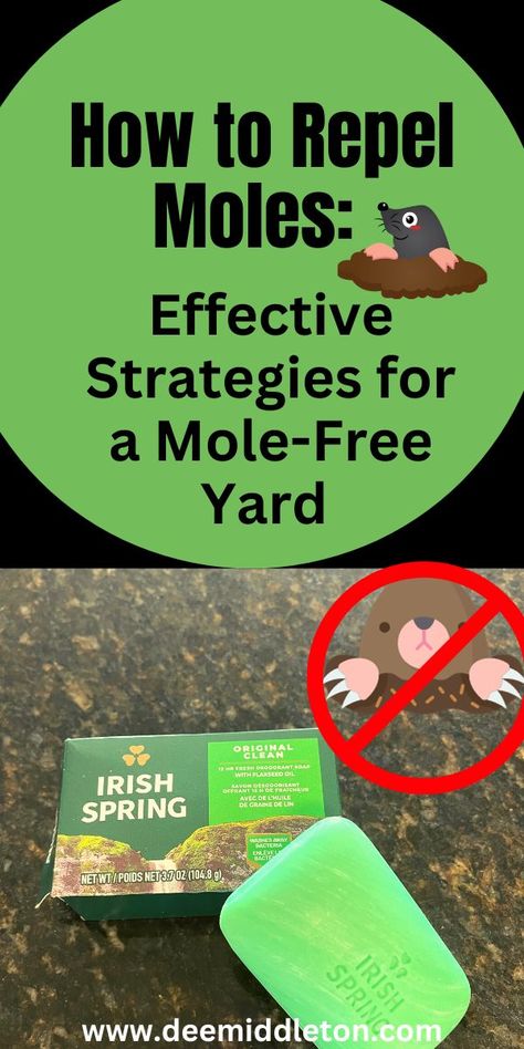 Moles may be small, but their presence in your yard can lead to big problems. These subterranean creatures are notorious for creating unsightly tunnels and mounds on your otherwise well-maintained lawn. If you've ever wondered how to repel moles effectively, you're in the right place. In this blog post, we'll explore various strategies to keep moles at bay and maintain a beautiful, mole-free yard. Diy Mole Repellent, How To Get Rid Of Moles In Yard, Mole Deterrent, Mole Removal Yard, Moles In Yard, Fall Home Maintenance, Home Pest Control, Mole Repellent, Home Maintenance Tips