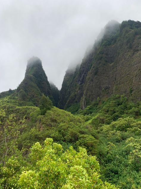 Iao Valley Maui, The Grand Wailea Maui Hawaii, Banyan Tree Maui, Hawaii Mountains, Maui Lavender Farm, Four Seasons Maui At Wailea, Plants Green, Green Nature, Maui Hawaii