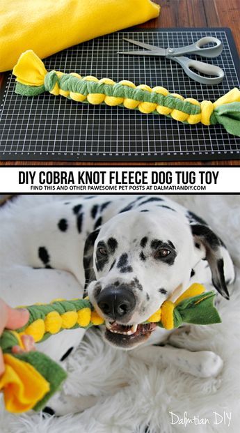 Cobra Knot, Dog Tug Toy, Homemade Dog Toys, Chien Golden Retriever, Dogs Diy Projects, Diy Pet Toys, Diy Dog Toys, Rope Dog Toys, Best Dog Toys