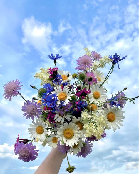 Bouquets flower love june 2024 romania  wild flower lovely summer Midsomer Aesthetic, Mid Summer Aesthetic, Midsummer Flowers, Summer Vision, Landscape Painting Tutorial, Mid Summer, Summer Bouquet, Bouquet Of Flowers, Flower Bouquets