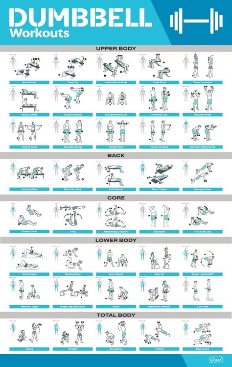 Poster Exercise, Dumbbell Workout Plan, Dumbbell Workout At Home, Fitness Poster, Full Body Dumbbell Workout, Beginner Workouts, Gym Antrenmanları, Dumbell Workout, Barbell Workout