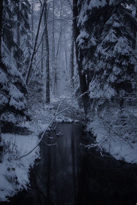 Cold Landscape, Forest Grove, Snow Photography, Dark Christmas, Aesthetic Space, Winter Photos, Fantasy Places, Winter Scenery, Vintage Landscape