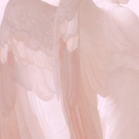 Cupid Pink Aesthetic, Pastel Angel Aesthetic, Pink Angelcore Aesthetic, Angelcore Aesthetic Pink, Angel Aesthetic Pink, Angel Pink Aesthetic, Pink Angelcore, Pink Angel Aesthetic, Angelcore Pink