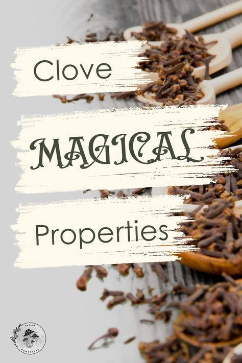 Check out the magical properties that clove has to offer. Cloves Magick, Vanilla Magical Properties, Clove Magical Properties, Clove Witchcraft, Magical Properties Of Cloves, Vinegar For Cleaning, Garlic Health, Magnesium Benefits, Herbs Plants