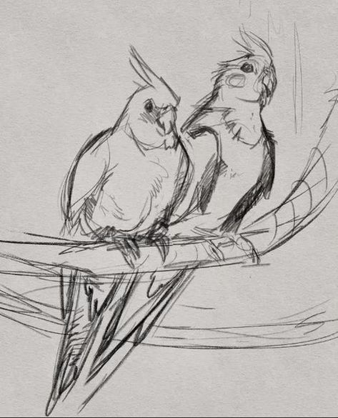 Drawing Ideas For Animals, Birds For Drawing, Bird Looking Down Drawing, Bird Sketch Drawing, Bird Art Sketch, Bird Sketch Tutorial, Drawing Ideas For Portfolio, Bird Art Tutorial, Cool Bird Drawings