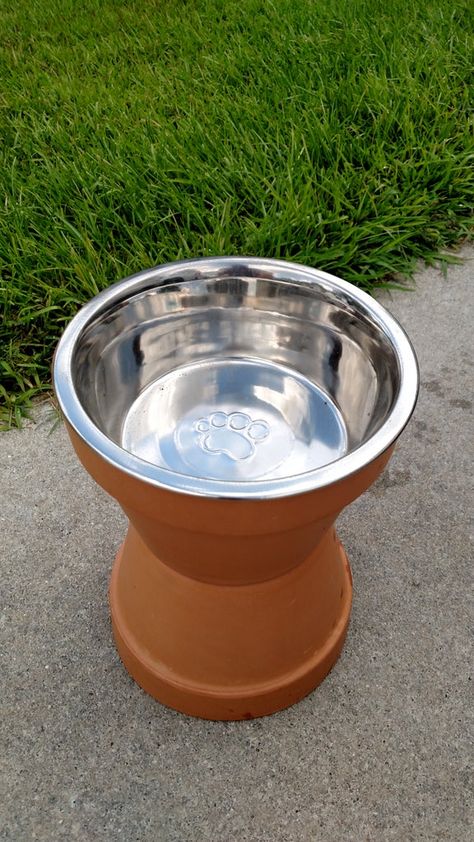 Raised Dog Bowls, Dog Yard, Cesar Millan, Dog Area, Dog Food Bowls, 강아지 그림, Dog Crafts, Dog Info, Friends Happy