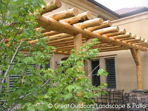 Pergola Decorations, Rustic Pergola, Pergola Carport, Cheap Pergola, Pergola Swing, Retractable Pergola, Pergola Lighting, Wood Pergola, Pergola Attached To House